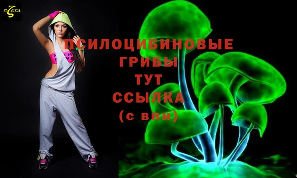 PSILOCYBIN Балахна