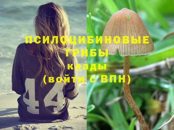 PSILOCYBIN Балахна
