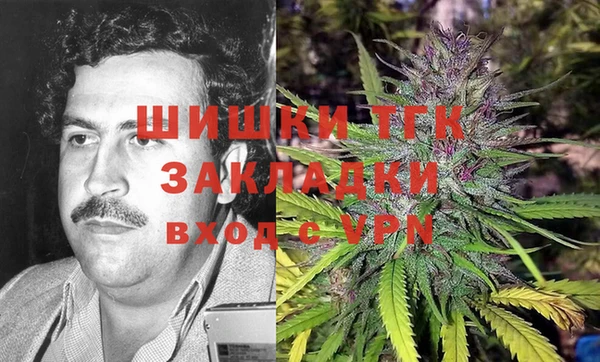 PSILOCYBIN Балахна