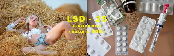 PSILOCYBIN Балахна