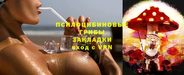 гидра Баксан