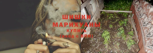 PSILOCYBIN Балахна