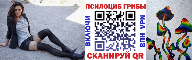 Галлюциногенные грибы Magic Shrooms  купить наркотик  Новопавловск 